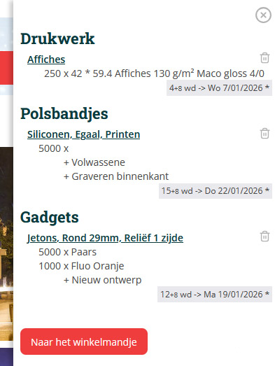screenshot van het winkelmandje op de website van Maxevent.be